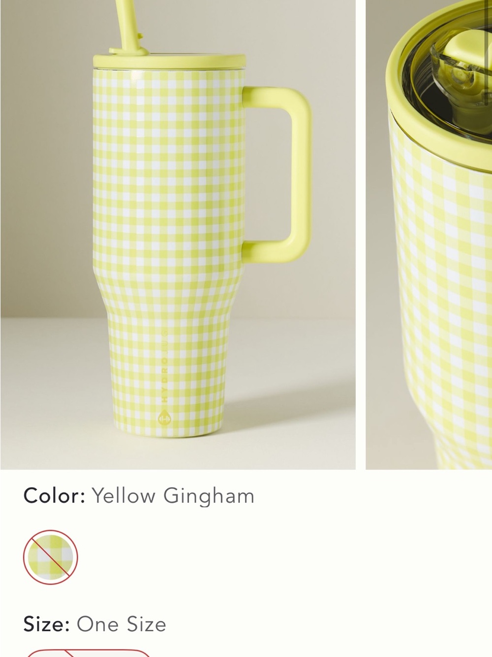 Anthropologie Hydrojug Travel cup